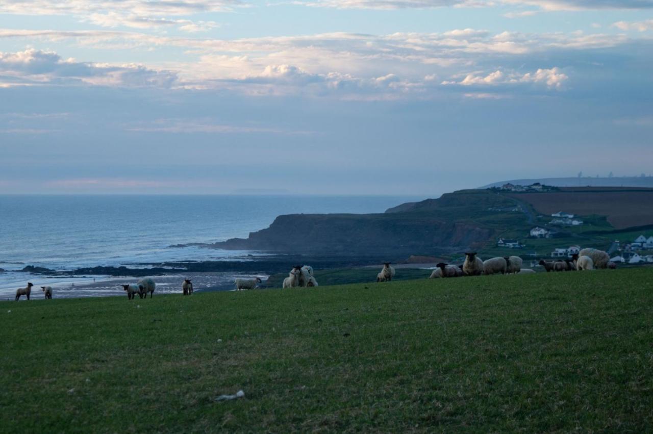 Chalet 18 Widemouth Bay Holiday Village Bude Exteriör bild